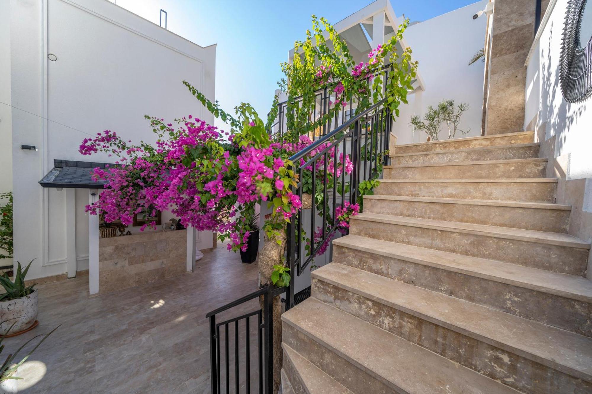 Noa Suite Hotel Only Adult Αλικαρνασσός Εξωτερικό φωτογραφία