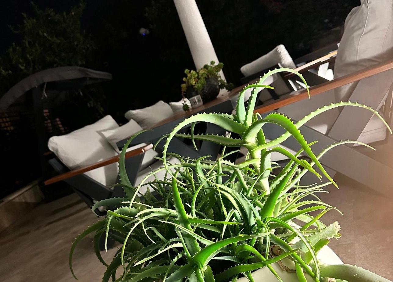 Noa Suite Hotel Only Adult Αλικαρνασσός Εξωτερικό φωτογραφία