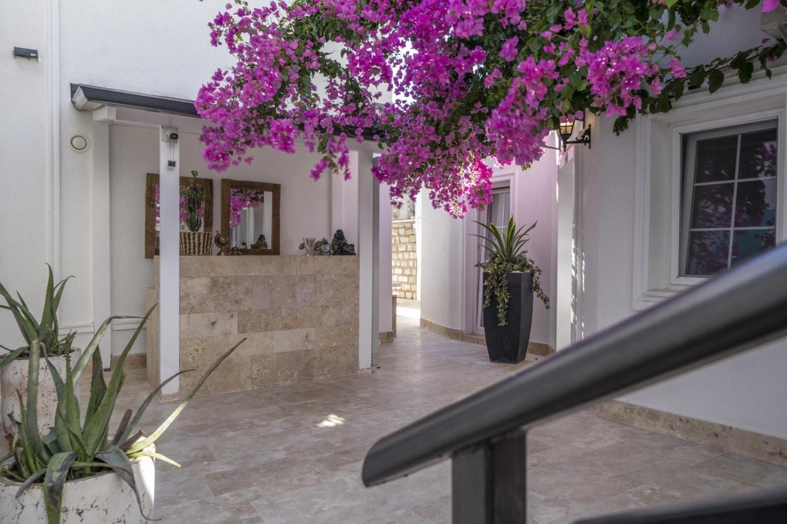 Noa Suite Hotel Only Adult Αλικαρνασσός Εξωτερικό φωτογραφία